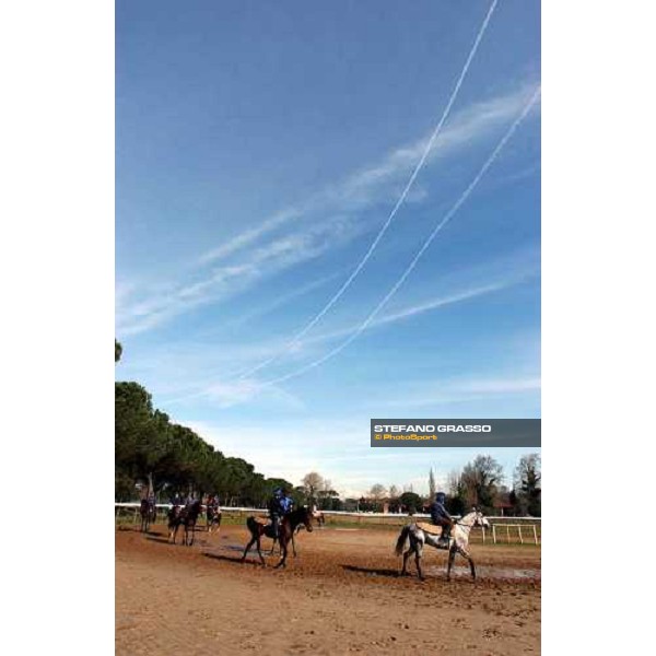 Valfredo Valiani\'s team during morning works at Pisa San Rossore march 11 2004 ph. Stefano Grasso