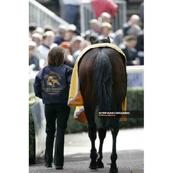 Reeefscape coming back to the stable after winning the Prix du Cadran Paris Longchamp 2nd october 2005 ph. Stefano Grasso