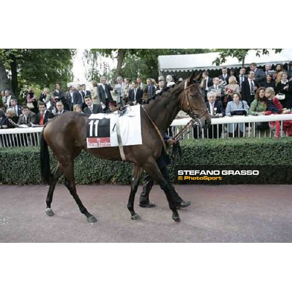 Sabana Perdida in the parade ring of Prix MArcel Boussac-Crtiterium PAris, Longchamp, 2nd october 2005 ph. Stefano Grasso