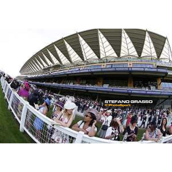 Royal Ascot - Ladies Day Ascot - Royal Ascot,18th june 2015 ph.Stefano Grasso