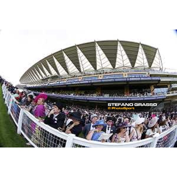 Royal Ascot - Ladies Day Ascot - Royal Ascot,18th june 2015 ph.Stefano Grasso