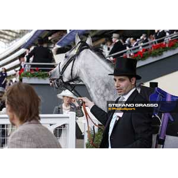 Royal Ascot - Ladies Day - Marco Botti Ascot - Royal Ascot,18th june 2015 ph.Stefano Grasso
