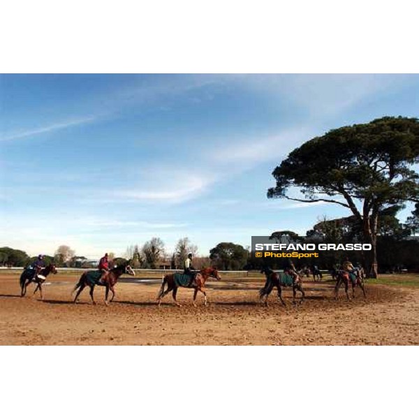 morning works at Pisa San Rossore march 11 2004 ph. Stefano Grasso