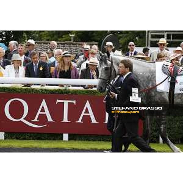 Solow winner of the Qatar Susses Stakes Goodwood,29th july 2015 ph.Stefano Grasso/QEF