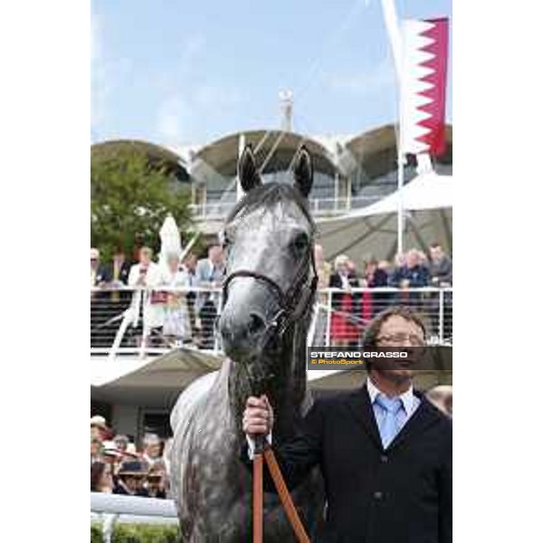 Solow winner of the Qatar Susses Stakes Goodwood,29th july 2015 ph.Stefano Grasso/QEF