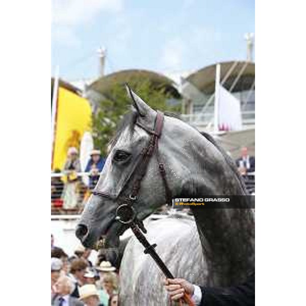 Solow winner of the Qatar Susses Stakes Goodwood,29th july 2015 ph.Stefano Grasso/QEF