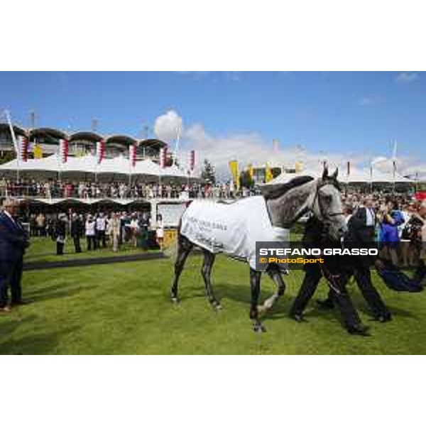 Maxime Guyon on Solow wins the Qatar Susses Stakes Goodwood,29th july 2015 ph.Stefano Grasso/QEF