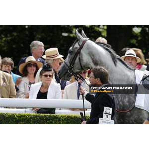 Solow winner of the Qatar Susses Stakes Goodwood,29th july 2015 ph.Stefano Grasso/QEF