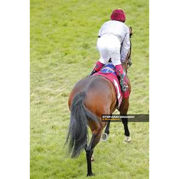 Goodwood - QATAR Goodwood Festival Frankie Dettori on Shalaa Goodwood,30th july 2015 ph.Stefano Grasso/QEF