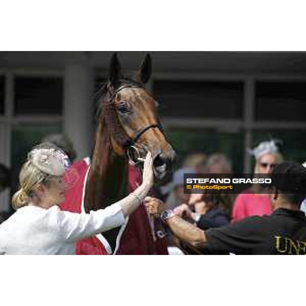 Goodwood - QATAR Goodwood Festival Big Orange winner of the QATAR Goodwood Cup Goodwood,30th july 2015 ph.Stefano Grasso/QEF