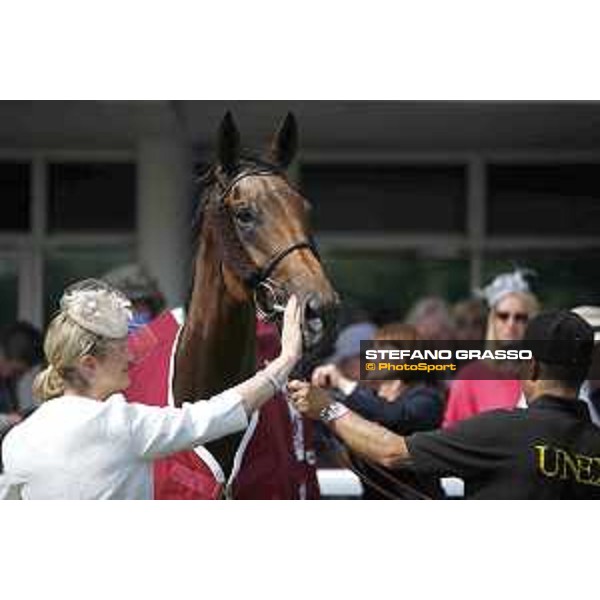 Goodwood - QATAR Goodwood Festival Big Orange winner of the QATAR Goodwood Cup Goodwood,30th july 2015 ph.Stefano Grasso/QEF