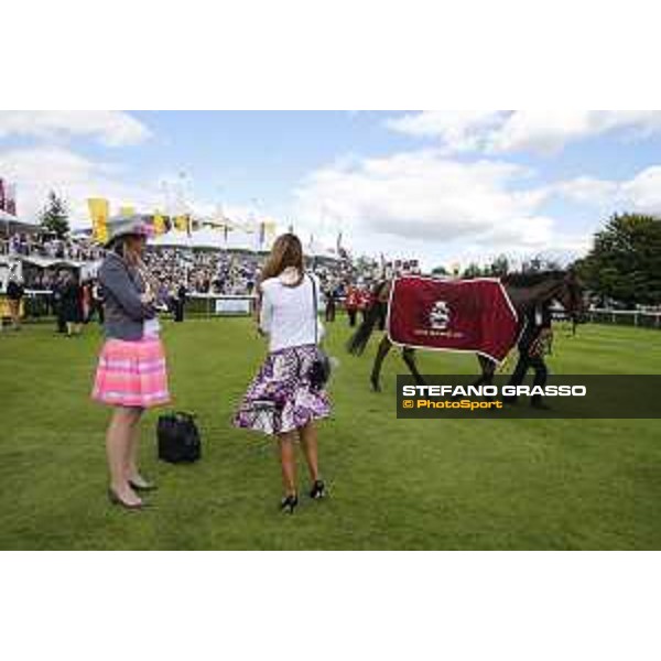 Goodwood - QATAR Goodwood Festival Big Orange winner of the QATAR Goodwood Cup Goodwood,30th july 2015 ph.Stefano Grasso/QEF