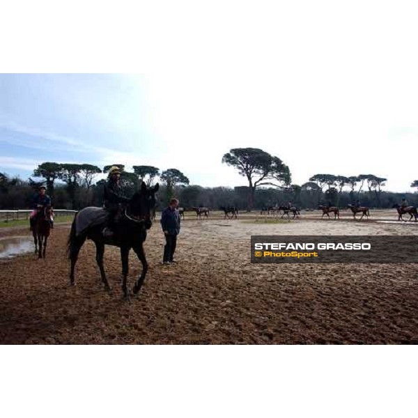trainer Valfredo Valiani and his team during morning works at Pisa San Rossore march 11 2004 ph. Stefano Grasso