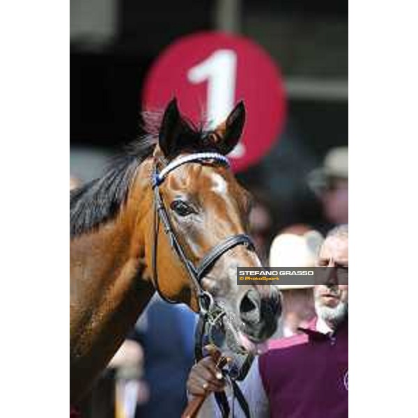 Goodwood - QATAR Goodwood Festival Paul Hanagan on Muthmir - The QATAR King Geroge stakes Goodwood,31st july 2015 ph.Stefano Grasso/QEF