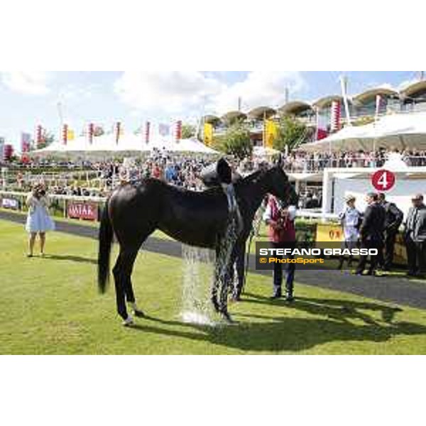 Goodwood - QATAR Goodwood Festival a shower after the race Goodwood,31st july 2015 ph.Stefano Grasso/QEF