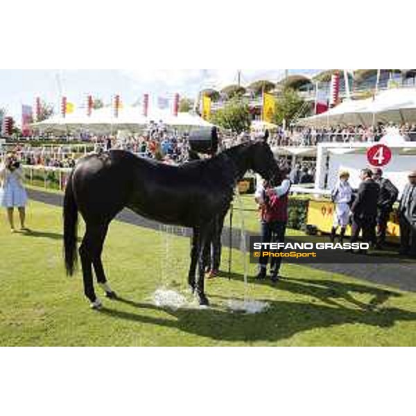 Goodwood - QATAR Goodwood Festival a shower after the race Goodwood,31st july 2015 ph.Stefano Grasso/QEF