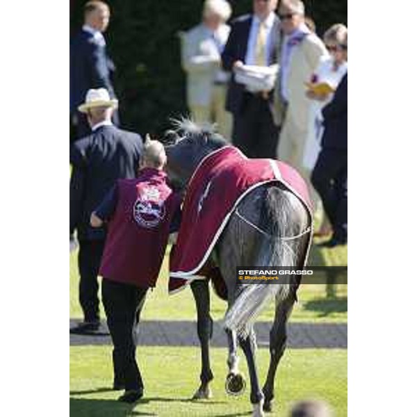 QATAR Goodwood Festival Magical Memory Goodwood, Fifht day, 1st august 2015 ph.Stefano Grasso/QEF