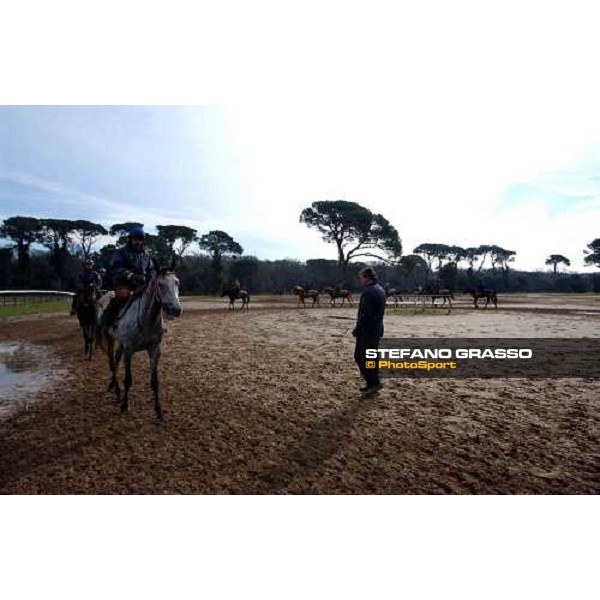 trainer Valfredo Valiani and his team during morning works at Pisa San Rossore march 11 2004 ph. Stefano Grasso