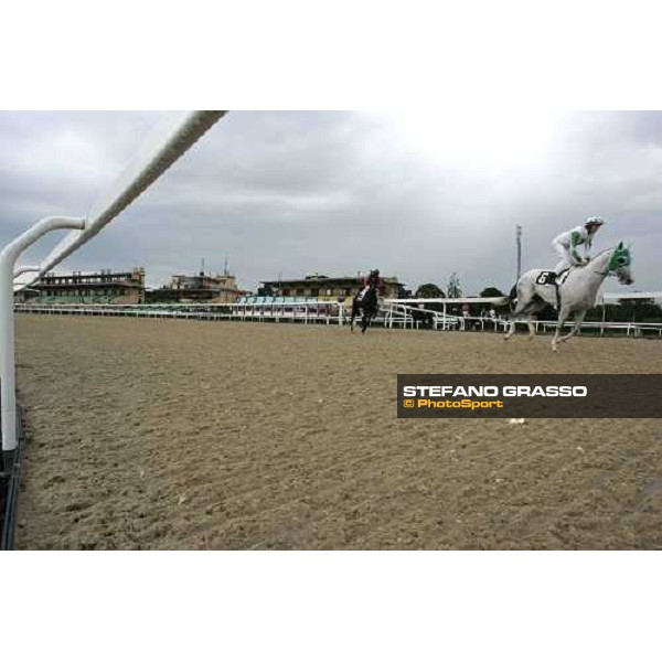 the horses of the Premio Flossy go to the start on the new all-weather race track at Capannelle Rome, 7th october 2005 ph. Stefano Grasso