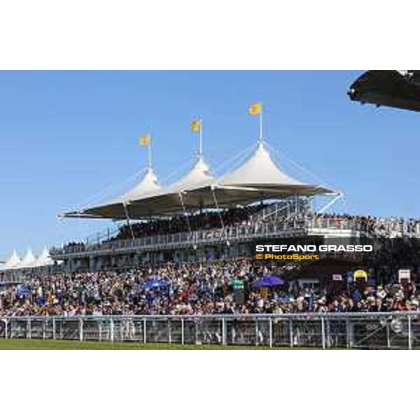 QATAR Goodwood Festival Qatar International Stakes (Group 1 PA) Sir Bani Yas Goodwood, Fifht day, 1st august 2015 ph.Stefano Grasso/QEF
