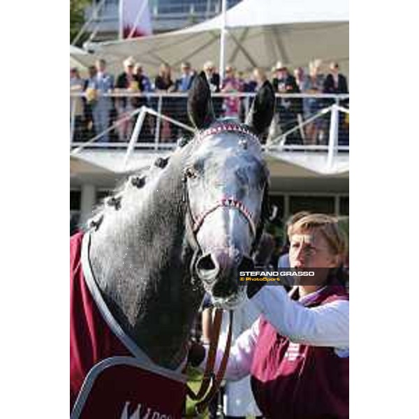 QATAR Goodwood Festival Qatar International Stakes (Group 1 PA) Sir Bani Yas Goodwood, Fifht day, 1st august 2015 ph.Stefano Grasso/QEF