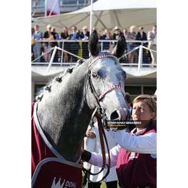 QATAR Goodwood Festival Qatar International Stakes (Group 1 PA) Sir Bani Yas Goodwood, Fifht day, 1st august 2015 ph.Stefano Grasso/QEF