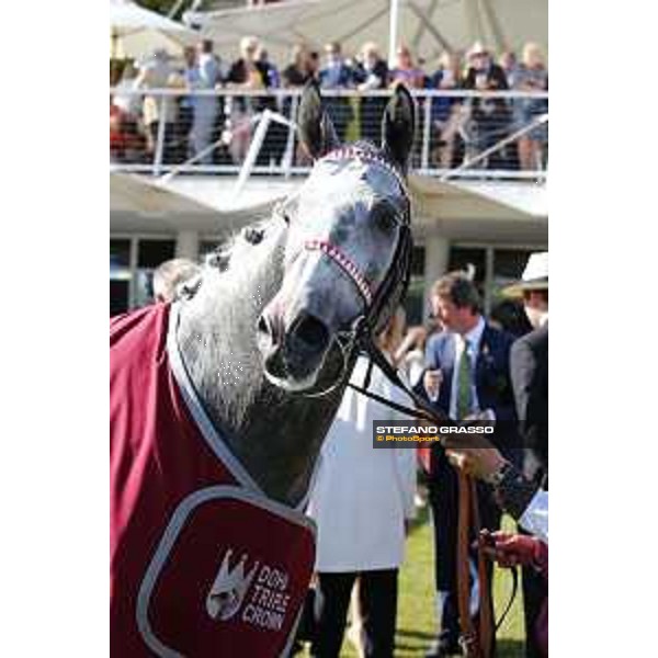 QATAR Goodwood Festival Qatar International Stakes (Group 1 PA) Sir Bani Yas Goodwood, Fifht day, 1st august 2015 ph.Stefano Grasso/QEF