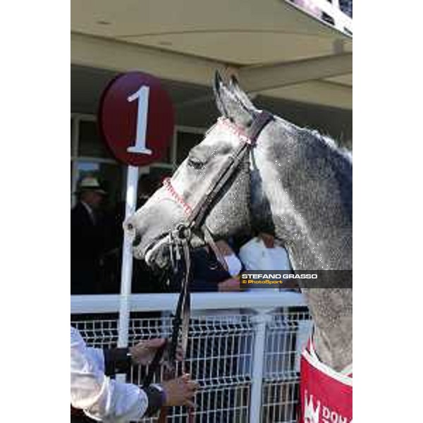 QATAR Goodwood Festival Qatar International Stakes (Group 1 PA) Sir Bani Yas Goodwood, Fifht day, 1st august 2015 ph.Stefano Grasso/QEF