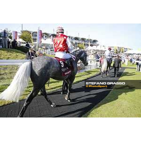 QATAR Goodwood Festival Qatar International Stakes (Group 1 PA) Sir Bani Yas Goodwood, Fifht day, 1st august 2015 ph.Stefano Grasso/QEF