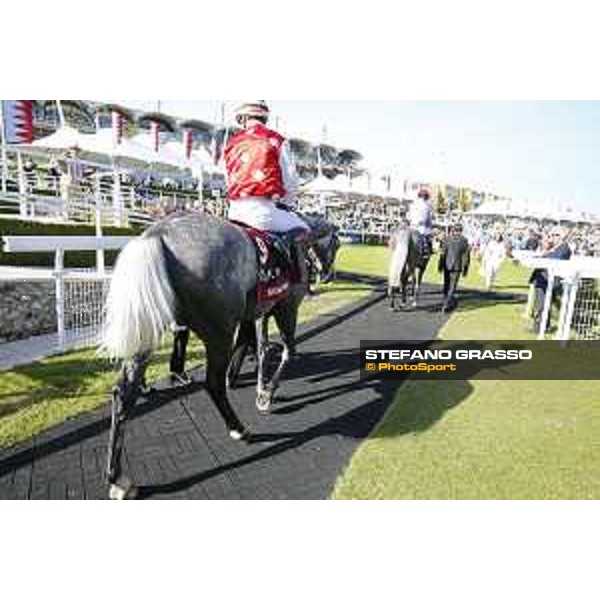 QATAR Goodwood Festival Qatar International Stakes (Group 1 PA) Sir Bani Yas Goodwood, Fifht day, 1st august 2015 ph.Stefano Grasso/QEF