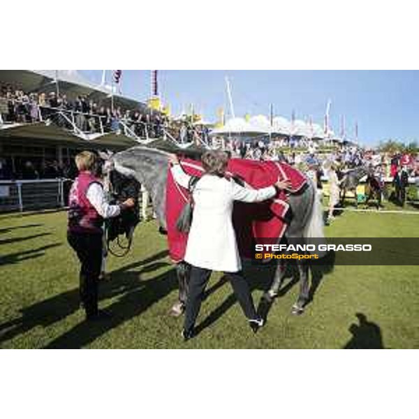 QATAR Goodwood Festival Qatar International Stakes (Group 1 PA) Sir Bani Yas Goodwood, Fifht day, 1st august 2015 ph.Stefano Grasso/QEF