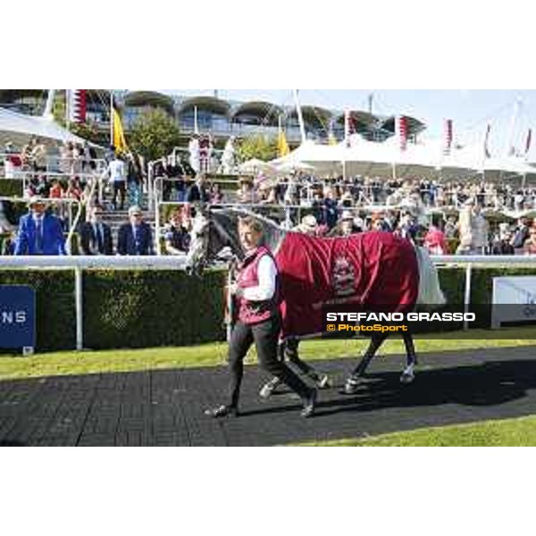QATAR Goodwood Festival Qatar International Stakes (Group 1 PA) Sir Bani Yas Goodwood, Fifht day, 1st august 2015 ph.Stefano Grasso/QEF