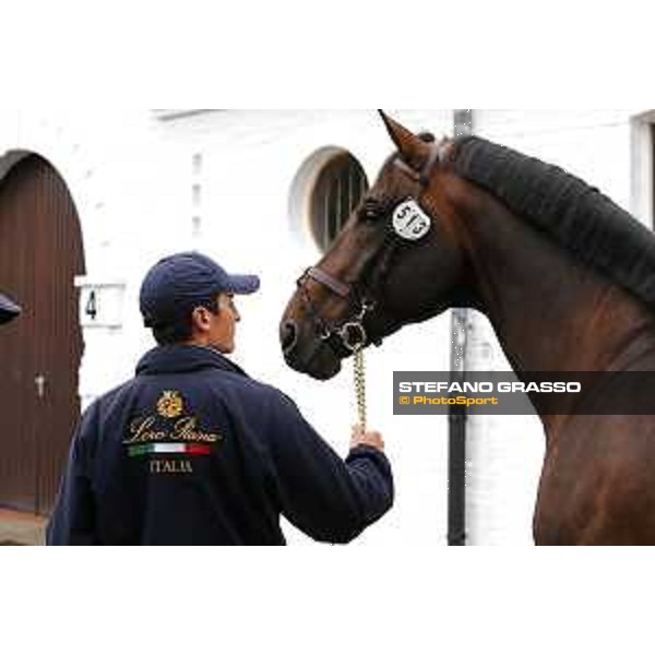 Aachen - FEI European Championships 2015 Vet check - Lorenzo De Luca and Erco van\'t Roosakker Aachen,17th August 2015 ph.Stefano Grasso/Loro Piana