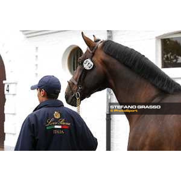 Aachen - FEI European Championships 2015 Vet check - Lorenzo De Luca and Erco van\'t Roosakker Aachen,17th August 2015 ph.Stefano Grasso/Loro Piana