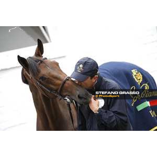 Aachen - FEI European Championships 2015 Vet check - Piergiorgio Bucci and Catwalk Z Aachen,17th August 2015 ph.Stefano Grasso/Loro Piana