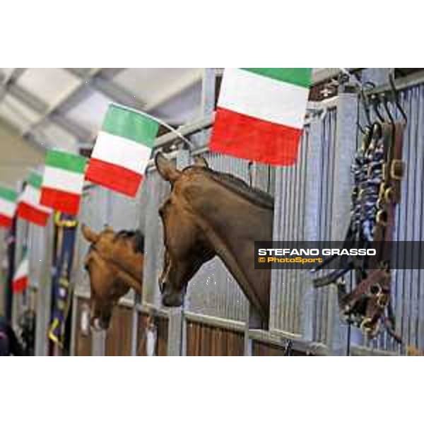 Aachen - FEI European Championships 2015 Stable life Aachen,17th August 2015 ph.Stefano Grasso/Loro Piana