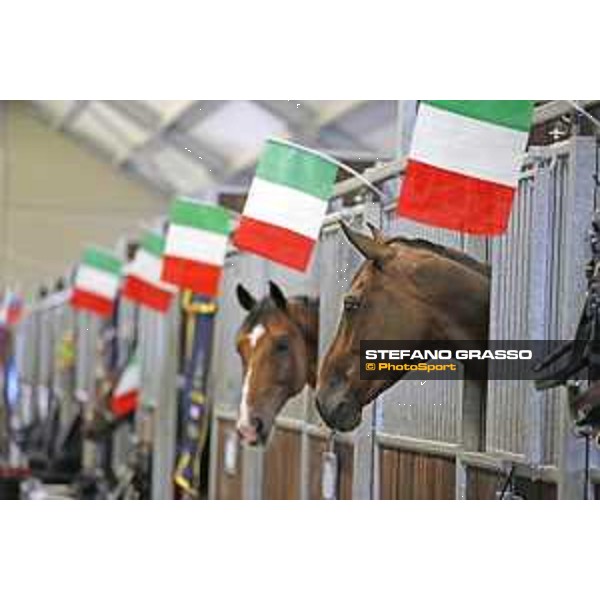 Aachen - FEI European Championships 2015 Stable life Aachen,17th August 2015 ph.Stefano Grasso/Loro Piana