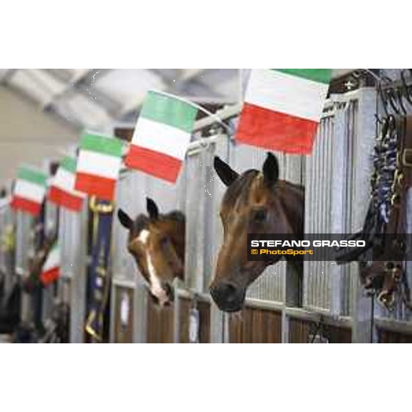 Aachen - FEI European Championships 2015 Stable life Aachen,17th August 2015 ph.Stefano Grasso/Loro Piana