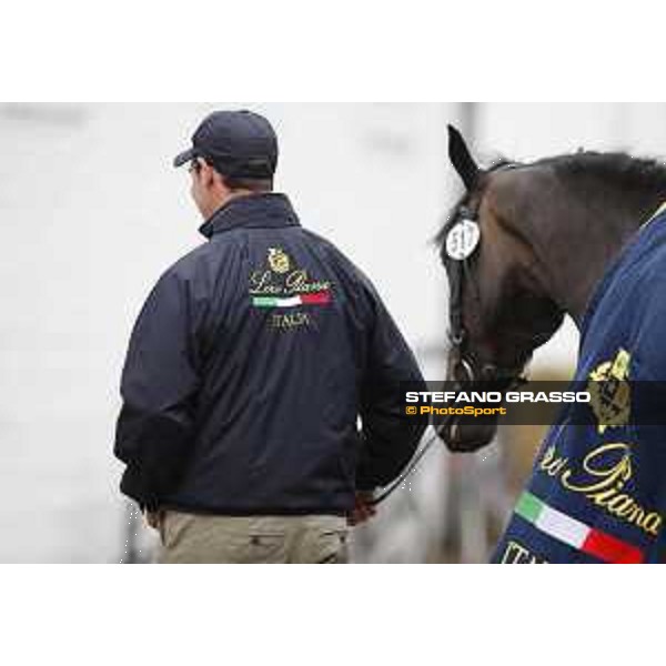 Aachen - FEI European Championships 2015 Vet check - Emanuele Gaudiano and Admara 2 Aachen,17th August 2015 ph.Stefano Grasso/Loro Piana