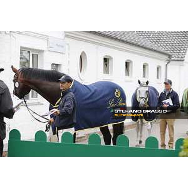 Aachen - FEI European Championships 2015 The Vet check Aachen,17th August 2015 ph.Stefano Grasso/Loro Piana