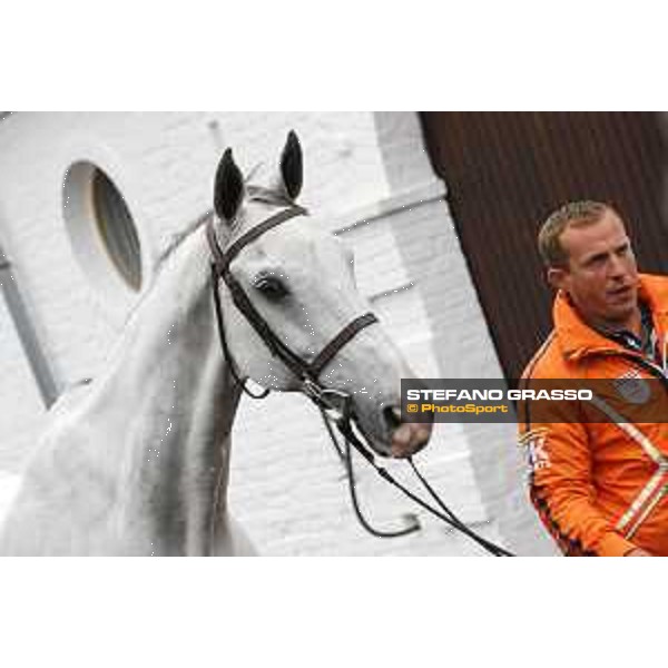 Aachen - FEI European Championships 2015 The Vet Check - Gerco Schroder and Glock\'s Cognac Champblanc Aachen,17th August 2015 ph.Stefano Grasso/Loro Piana