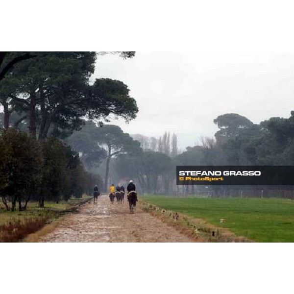 morning works at Pisa San Rossore march 10 2004 ph. Stefano Grasso