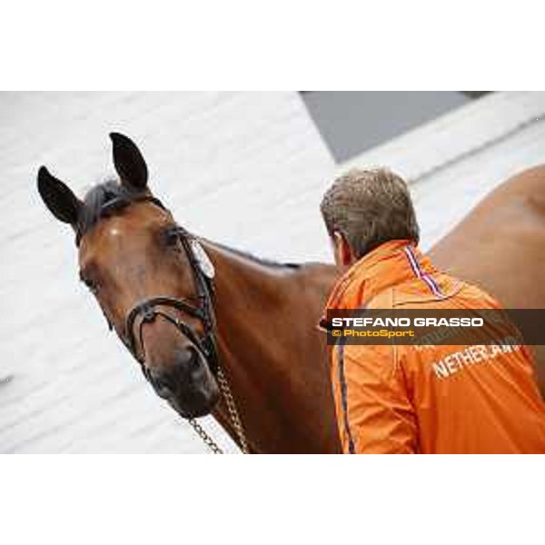 Aachen - FEI European Championships 2015 The Vet Check - Jeroen Dubbeldam and SFN Zenith N.O.P. Aachen,17th August 2015 ph.Stefano Grasso/Loro Piana