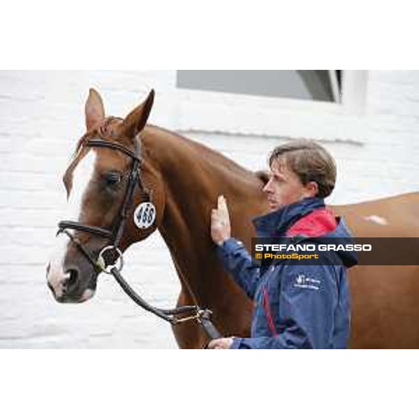 Aachen - FEI European Championships 2015 The Vet Check - Ben Maher and Diva II Aachen,17th August 2015 ph.Stefano Grasso/Loro Piana
