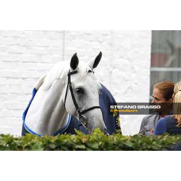 Aachen - FEI European Championships 2015 Judy-Ann Melchior and As Cold as Ice Z Aachen,17th August 2015 ph.Stefano Grasso/Loro Piana