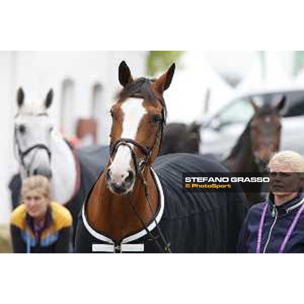 Aachen - FEI European Championships 2015 waiting for the vet inspection Aachen,17th August 2015 ph.Stefano Grasso/Loro Piana