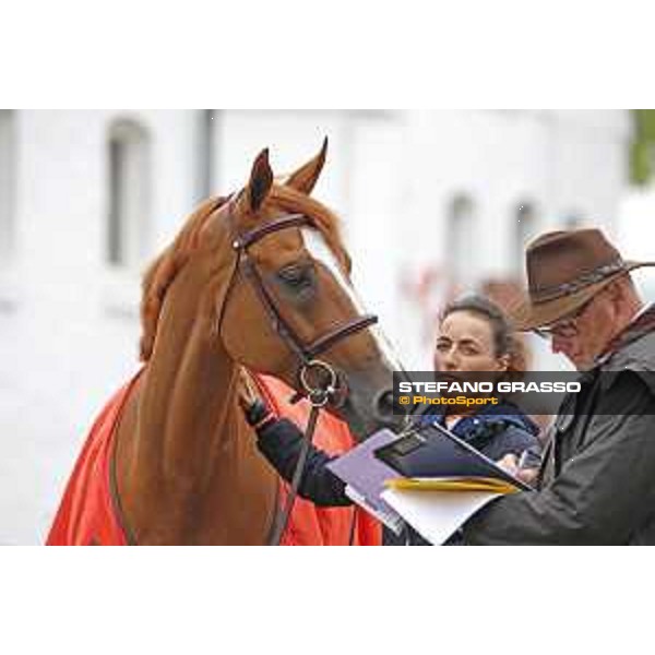 Aachen - FEI European Championships 2015 Lucrecia Pilar Cordon and Nuage bleu Aachen,17th August 2015 ph.Stefano Grasso/Loro Piana