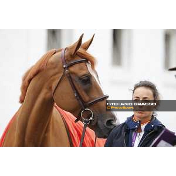 Aachen - FEI European Championships 2015 Lucrecia Pilar Cordon and Nuage bleu Aachen,17th August 2015 ph.Stefano Grasso/Loro Piana