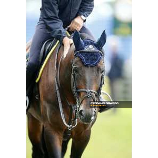 Aachen - FEI European Championships 2015 Team Italia Loro Piana warming up Daniele Augusto Da Rios on For Passion Aachen,18th August 2015 ph.Stefano Grasso/Loro Piana