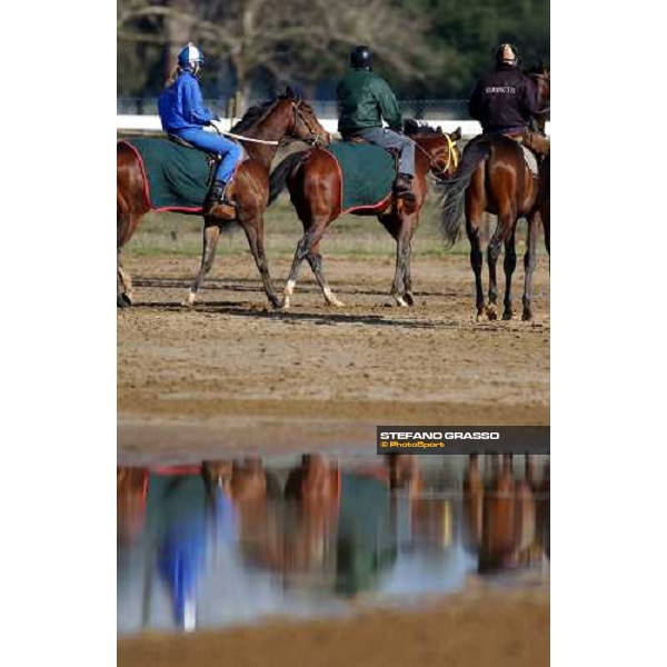 morning works at Pisa San Rossore march 11 2004 ph. Stefano Grasso